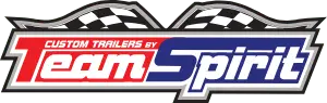 Team Spirit logo